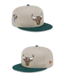 Chicago Bulls Snapback Cap 25G004