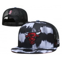 Chicago Bulls Snapback Cap 25G069