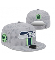 Seattle Seahawks Snapback Cap 25G025