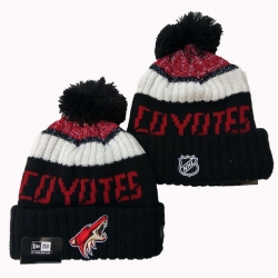 Arizona Coyotes Beanies Cap 25G001