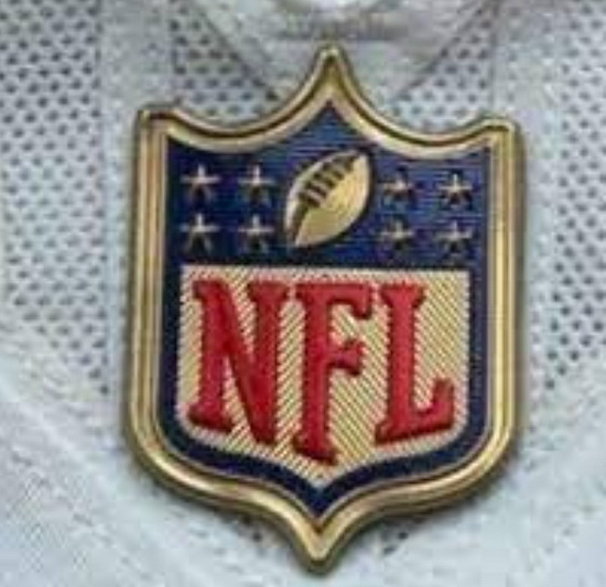 Women Carolina Panthers Gold NFL Logo Patch Biaog